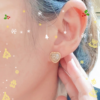 20241125_0715384_iOS 星月金韻